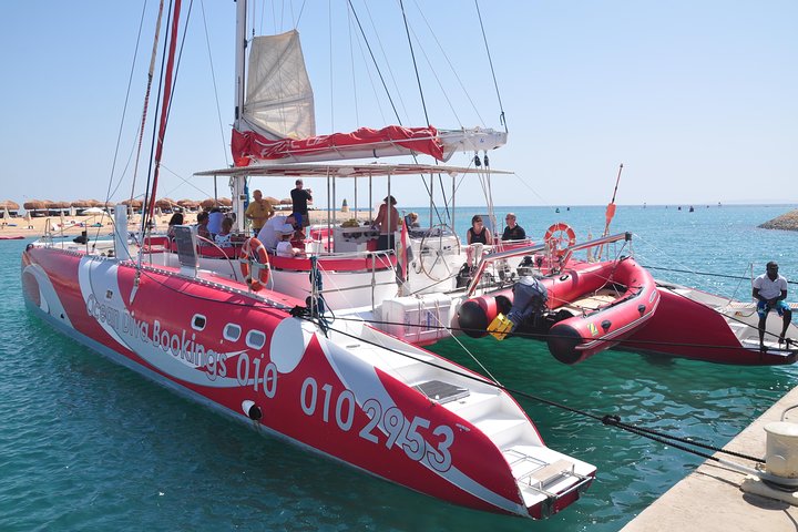 Ocean Diva Catamaran