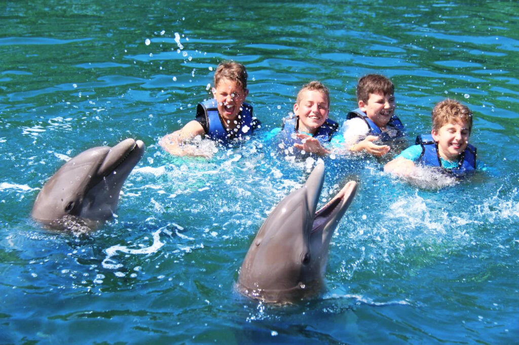 DOL_Boys_Swimming_With_Dolphins-1_jpg