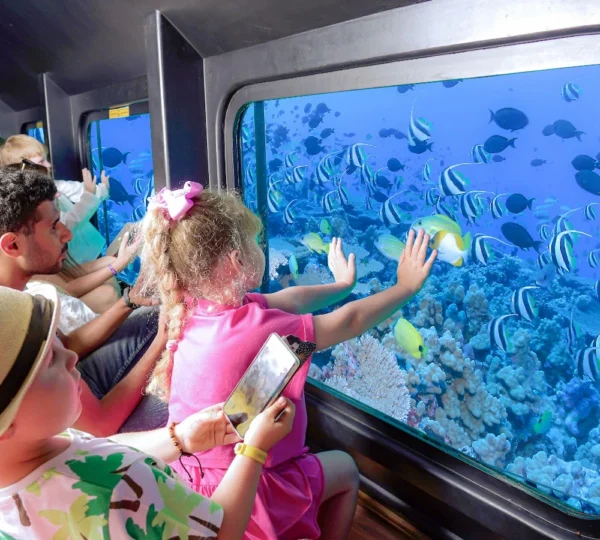 Glass Bottom Boat (4)