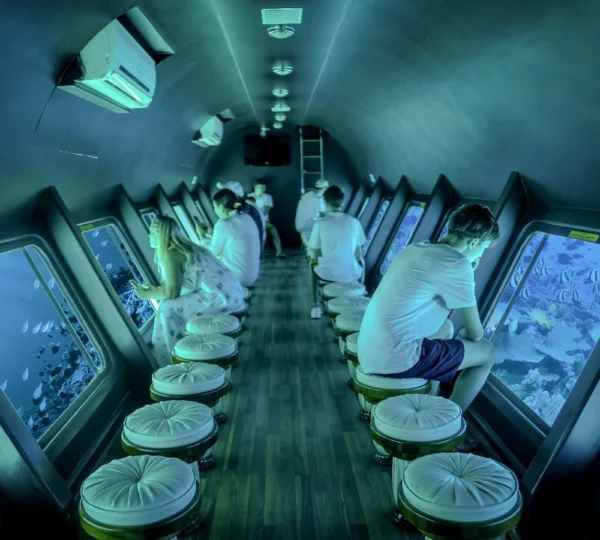 Glass Bottom Boat (5)