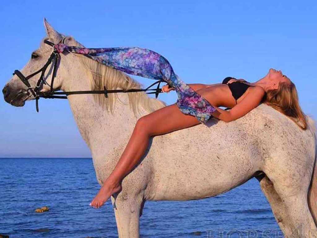 Horse Riding (1)