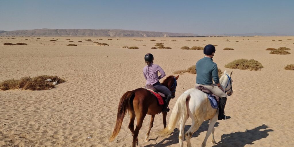 Horse Riding (11)
