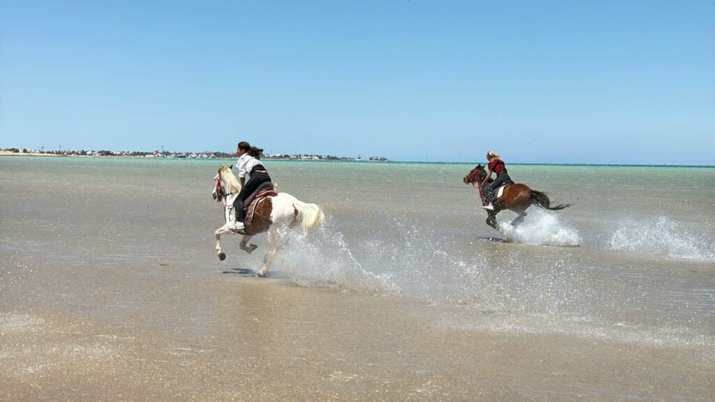 Horse Riding (2)