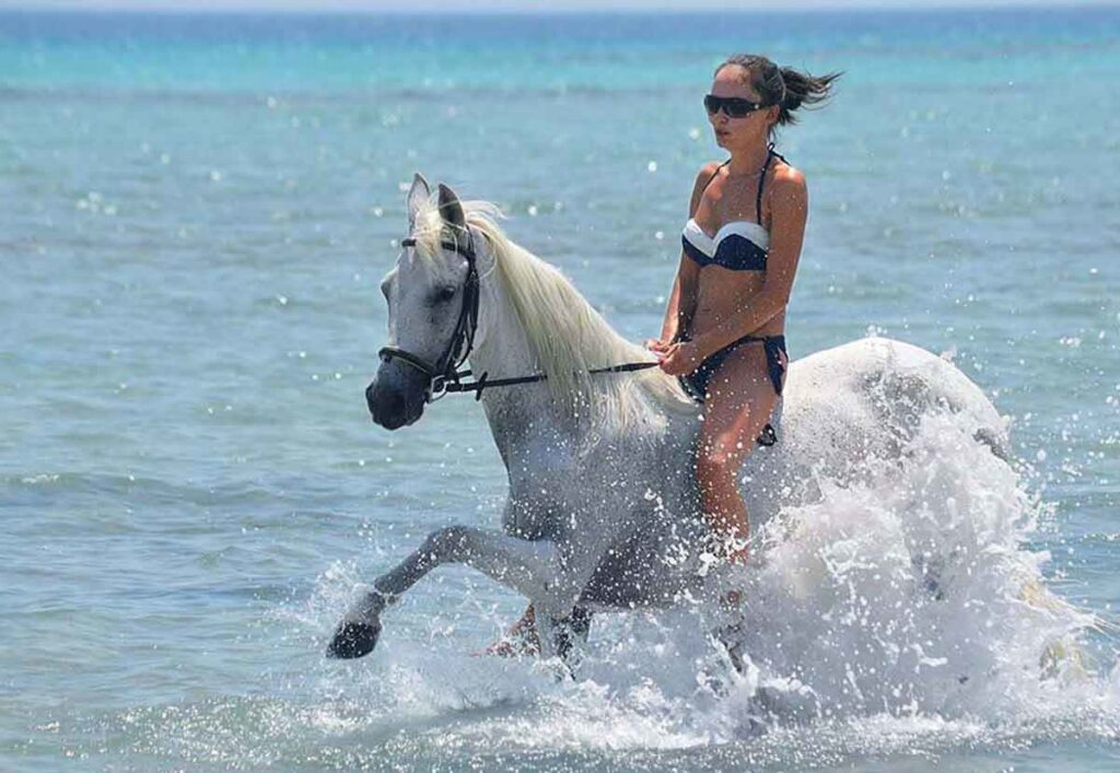 Horse Riding (2)
