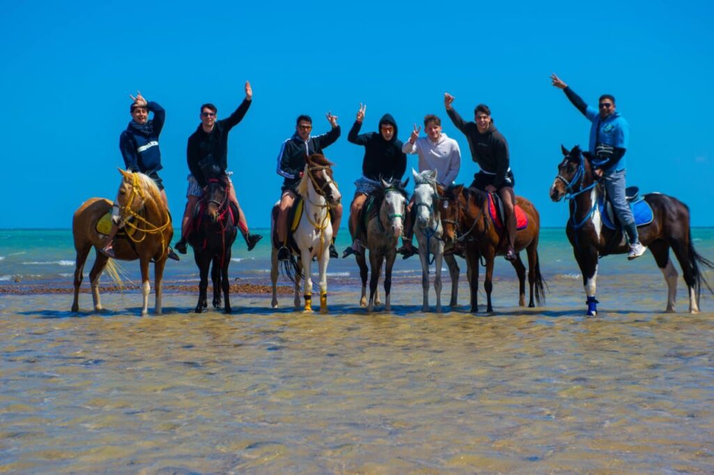 Horse Riding (3)