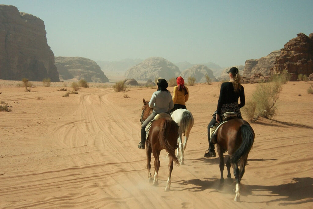 Horse Riding (3)