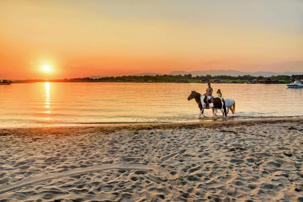 Horse Riding (4)