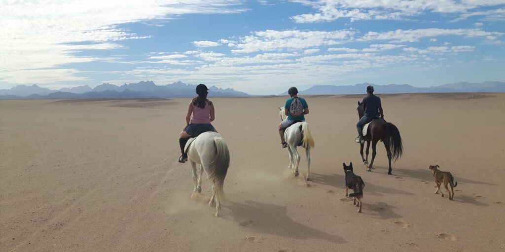 Horse Riding (5)