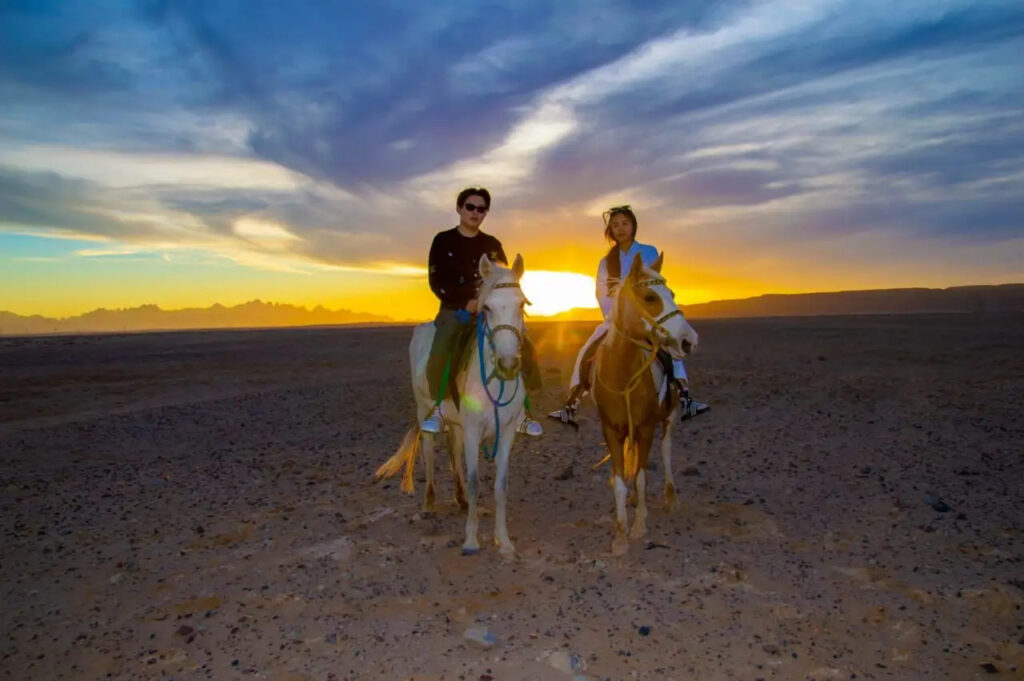 Horse Riding (7)