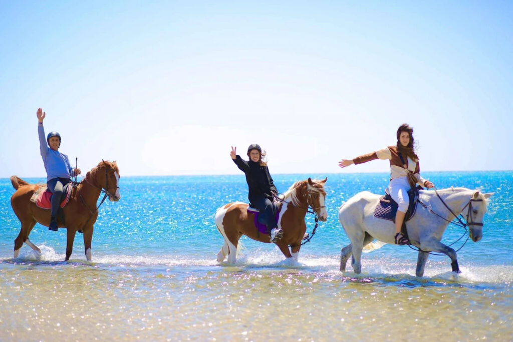 Horse Riding (8)