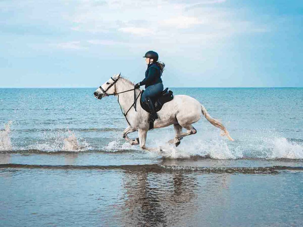 Horse Riding (9)
