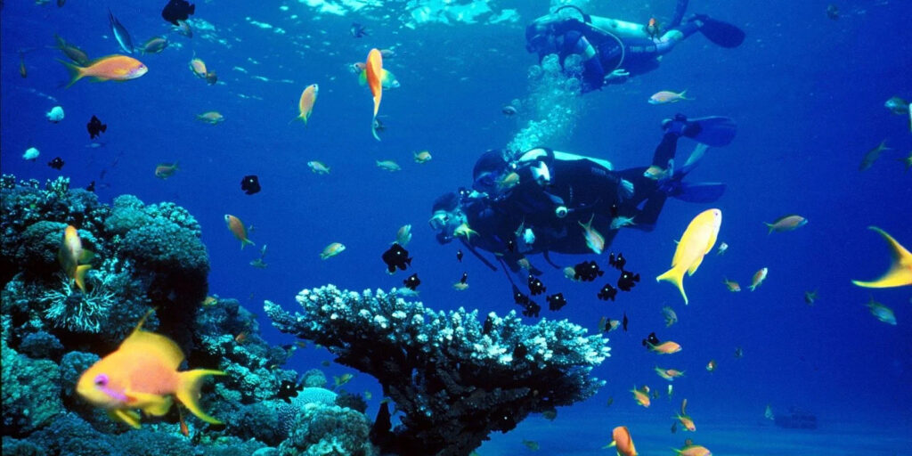 Intro Scuba Diving (5)