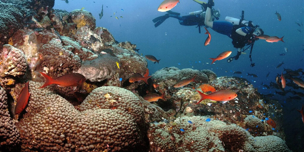 Intro Scuba Diving (7)