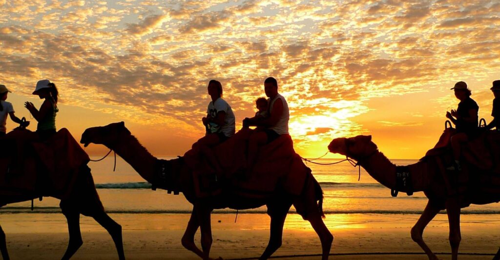 Quad bikes + Camel riding (2)