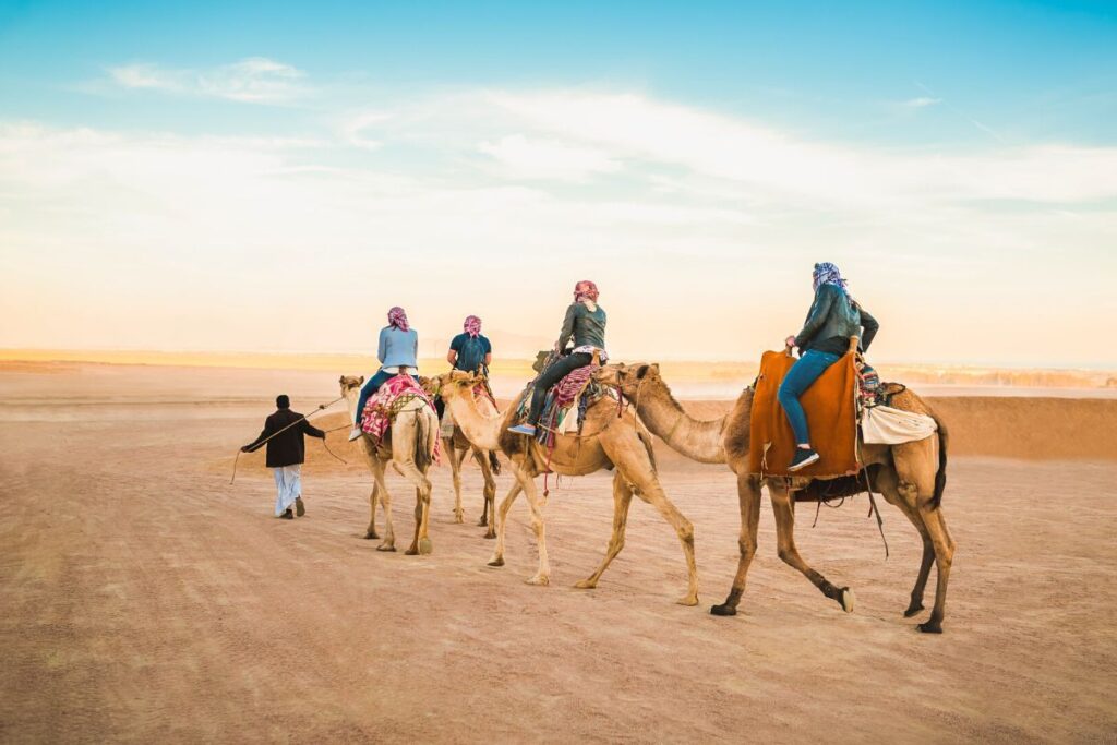 Quad bikes + Camel riding (5)