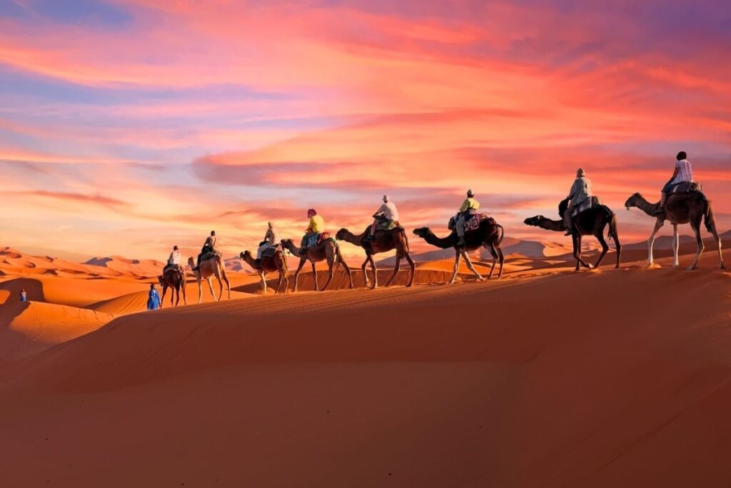 Quad bikes + Camel riding (7)