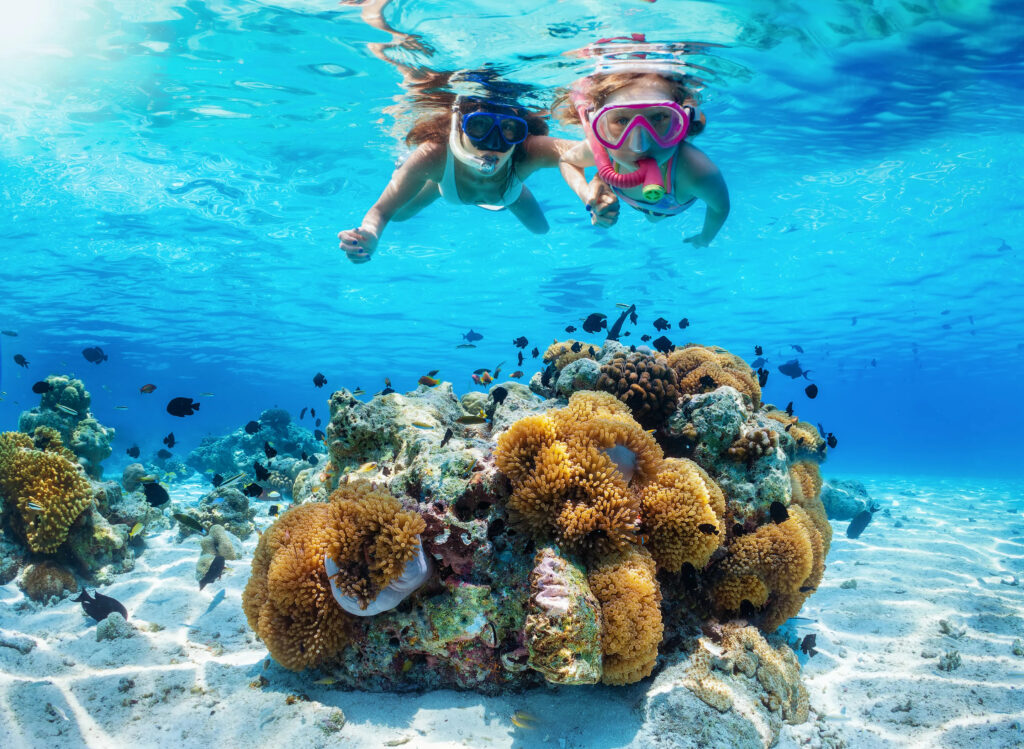 Snorkeling Trip Full Day (1)
