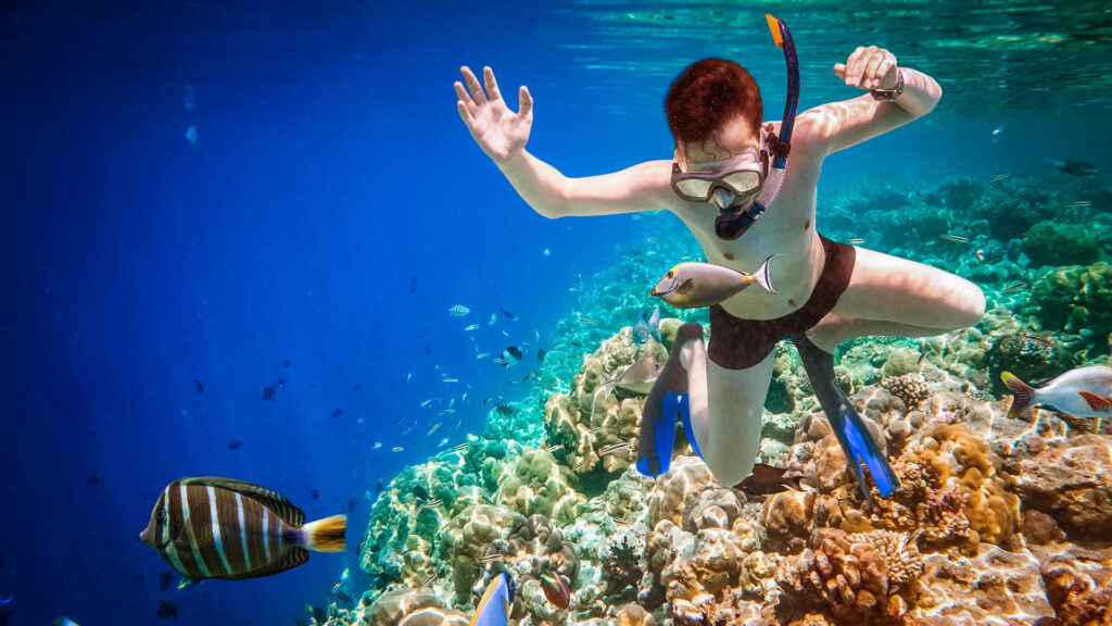 Paradise Island Snorkeling Trip Full Day from El Gouna – El Gouna Tours