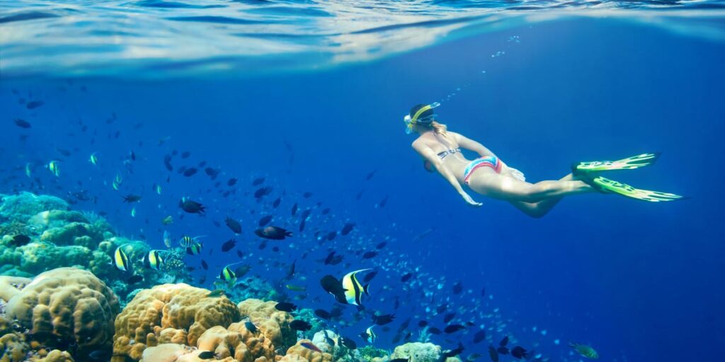 Snorkeling Trip in Hurghada – Egypt Tours Portal
