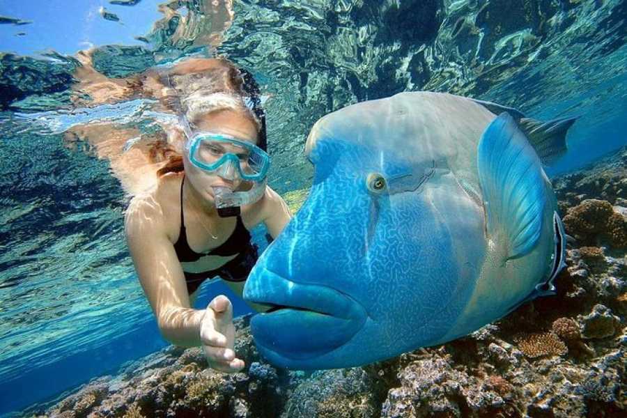 Snorkeling Trip Full Day (13)