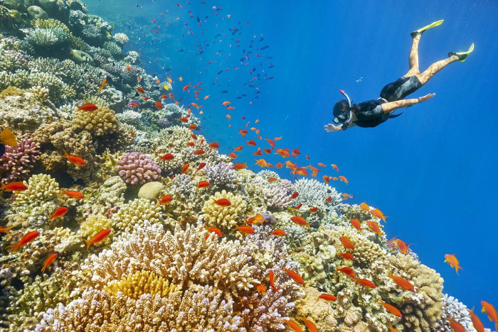 Snorkeling Trip Full Day (14)
