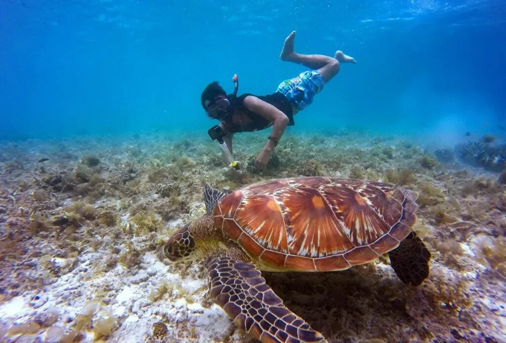 Snorkeling Trip Full Day (15)