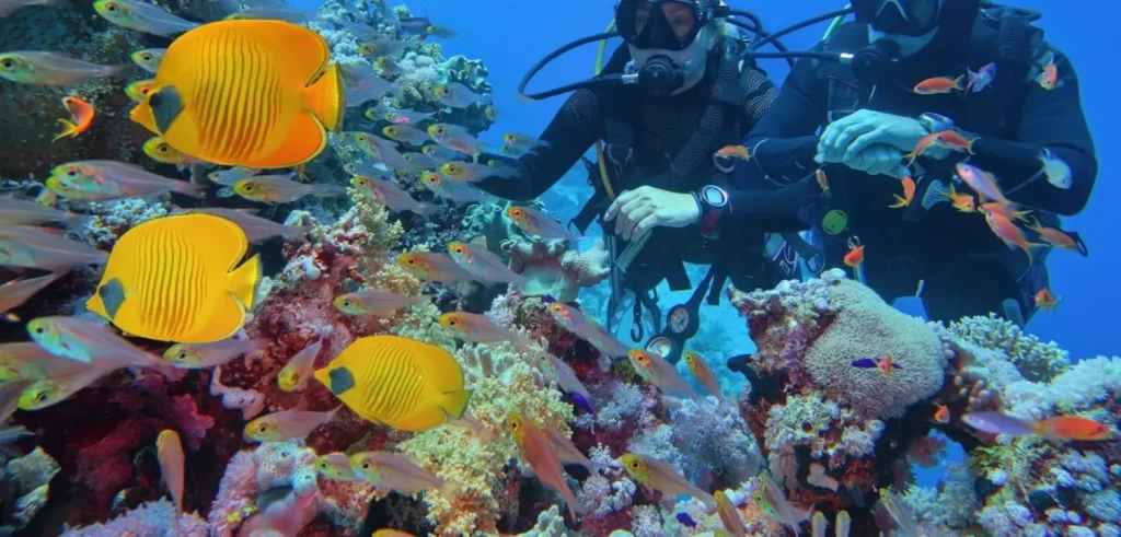 activity-plongee_mer_rouge_hurghada_egypte_ceetiz-2