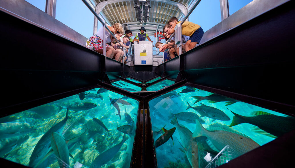 glass-bottom-boat-tour-great-barrier-reef-1